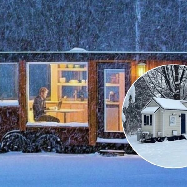 The Top 15 Tiny House Designs For Cold Climates