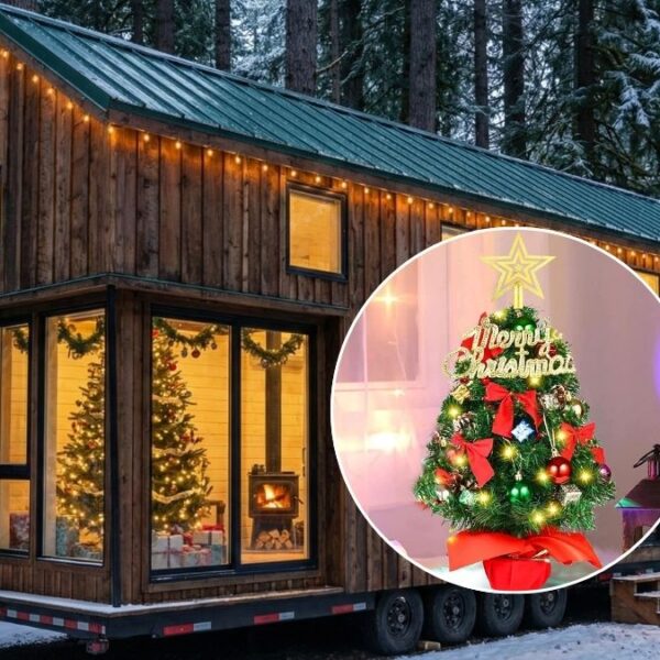 Where Do You Put the Christmas Tree in Tiny Home And Other Questions That Will Drive You Insane.