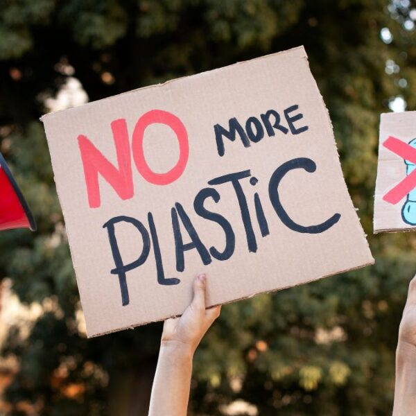 12 Impactful Plastic-Free Swaps (& What To Do With Your Old Plastic)