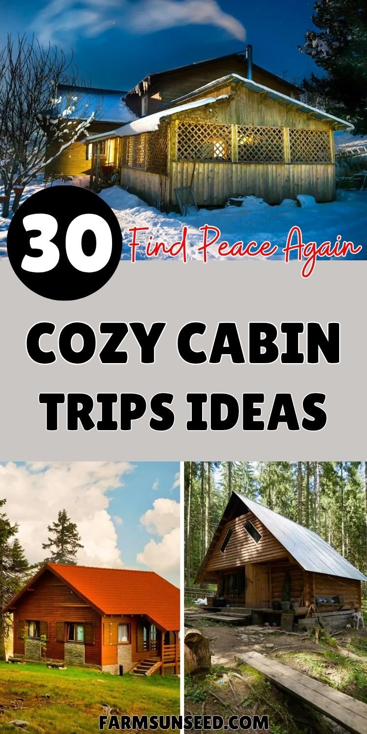 30 Find Peace Again Cozy Cabin Trips Ideas to Melt Away Stress