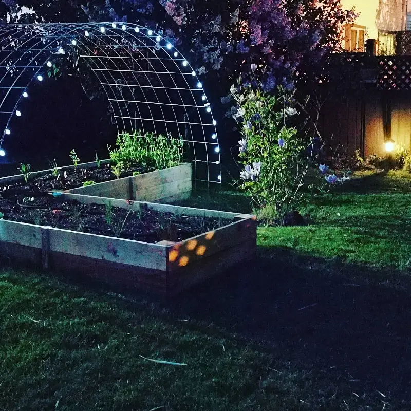 Illuminated Garden Trellis