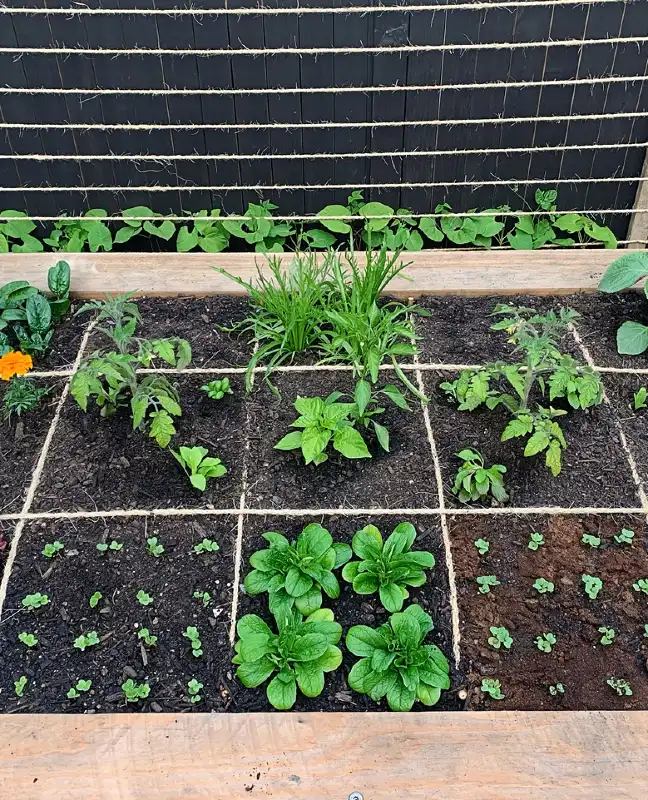 Square Foot Garden Grid