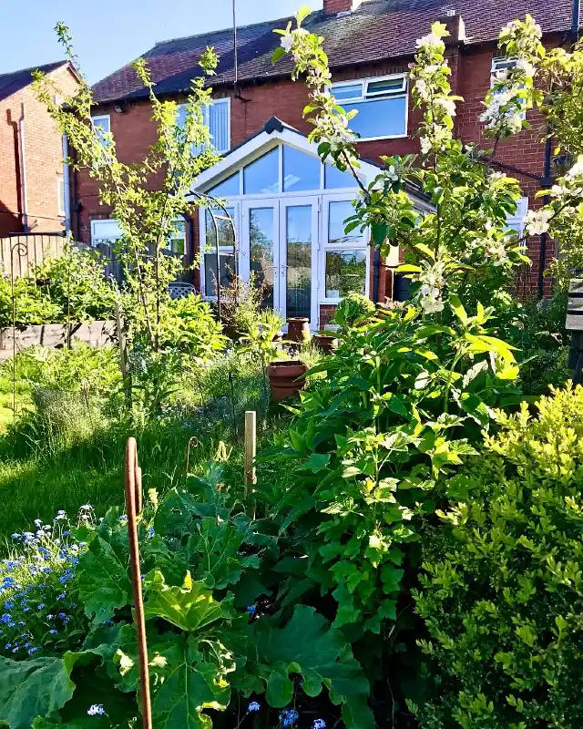 Edible Backyard Landscape