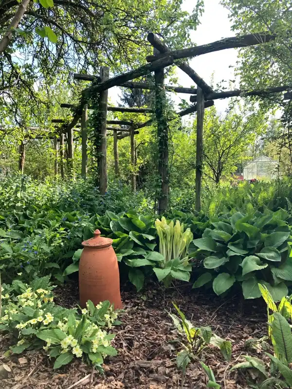 Rustic Wooden Pergola