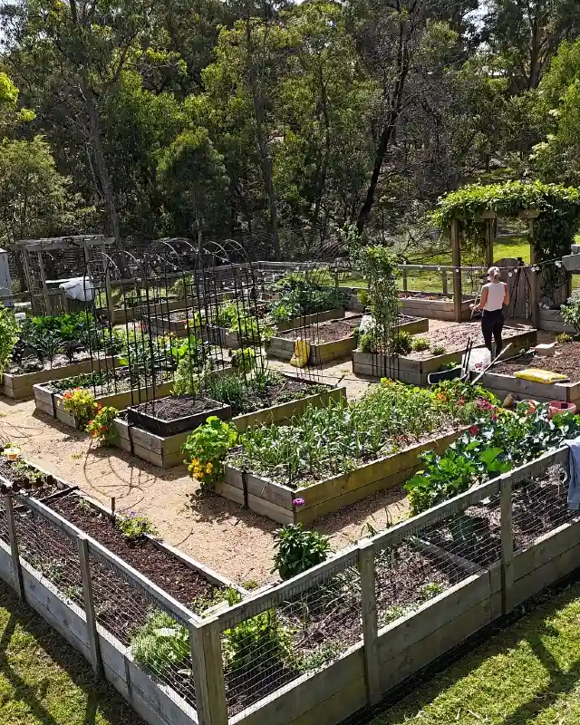 Secure Fenced Kitchen Garden