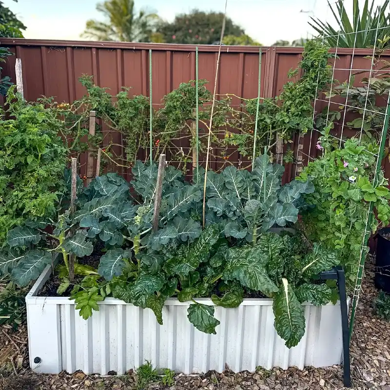 Multi-Crop Corrugated Raised Bed
