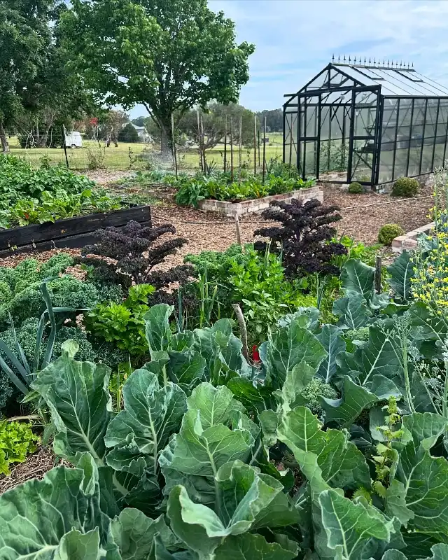Structured Allotment with Black Greenhouse