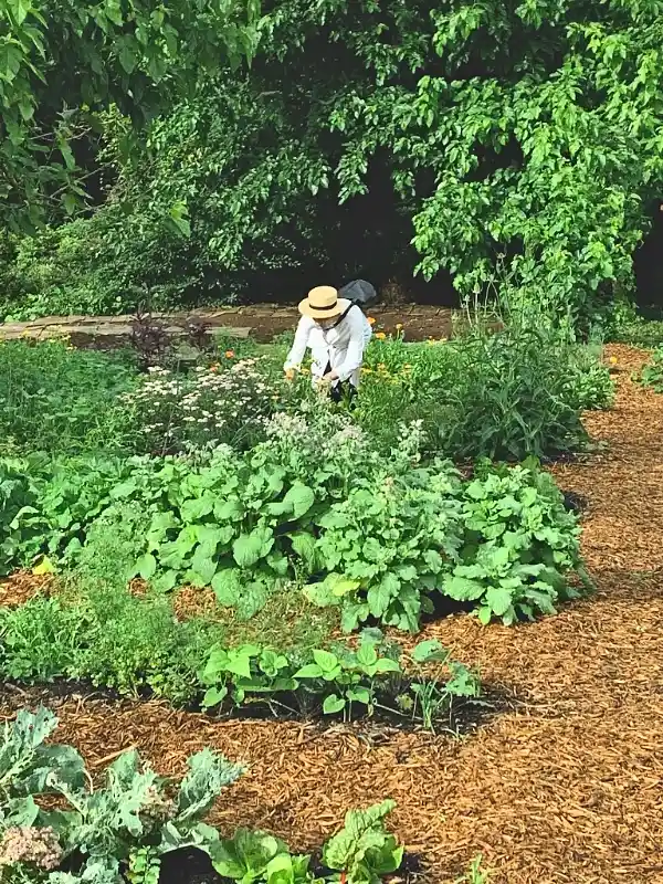 Active Garden Harvesting