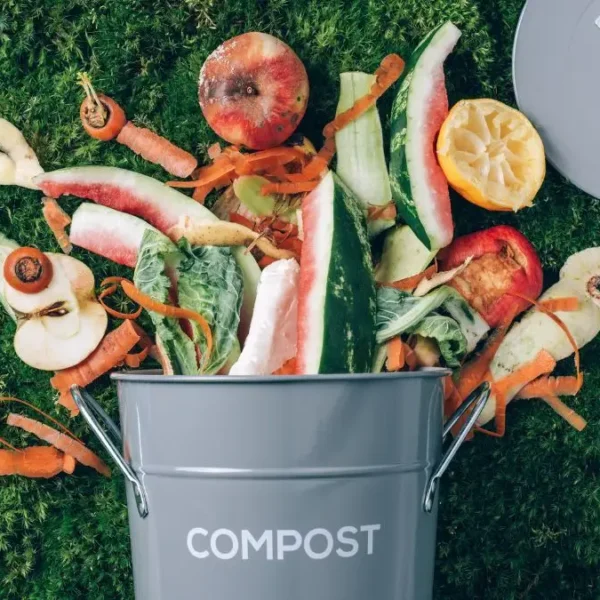 11 Things Nobody Tells You Before You Start Composting (That Would Have Saved Me Months)