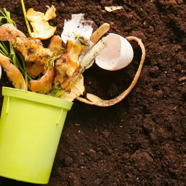 7 Indoor composting ideas that don't smell