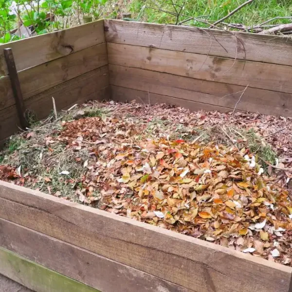 Best compost bin for raised bed gardeners