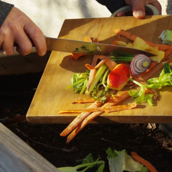 Cold Composting 101: The Zero-Effort Method That Lets Nature Do All the Work