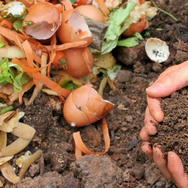 Composting For Beginners: The Only Step-by-Step Guide You Actually Need