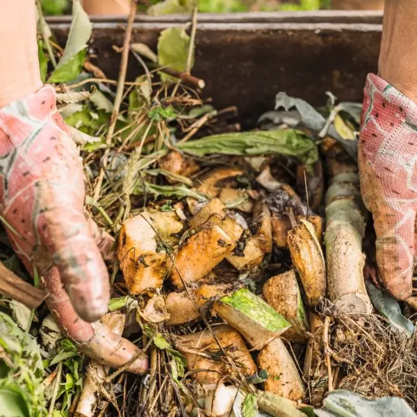 Composting for small backyards