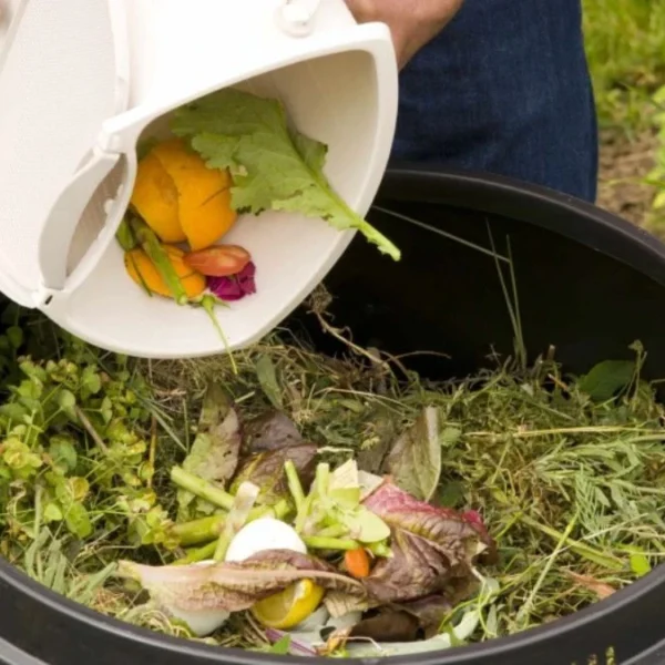 Easy Composting Methods For Seniors: Low-Effort Systems That Don’t Strain Your Back