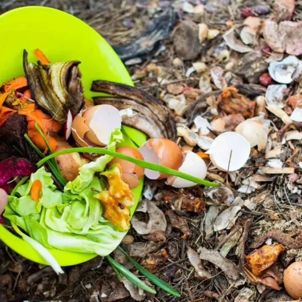 Hot Composting 101: How to Turn Scraps into Rich Soil in Just 30 Days