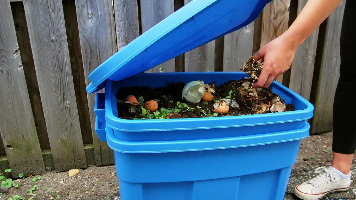 How Far Should Your Bin Be From the House?