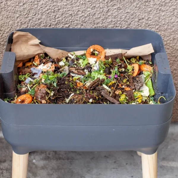 How to Compost in an Apartment With No Yard: 5 Methods That Actually Work