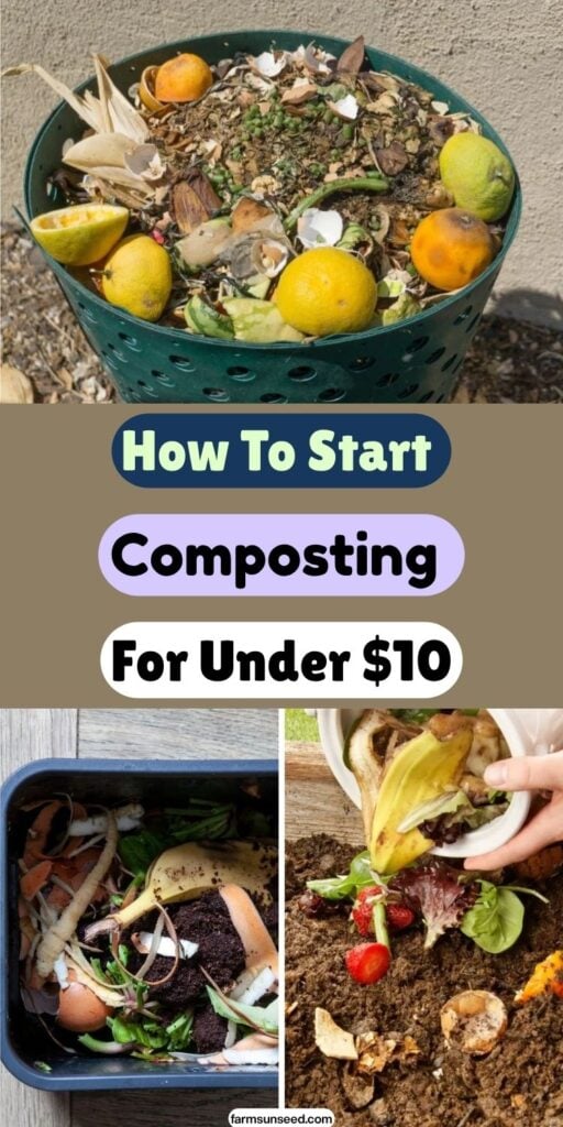 How To Start Composting For Under $10 (No Fancy Bins Required)