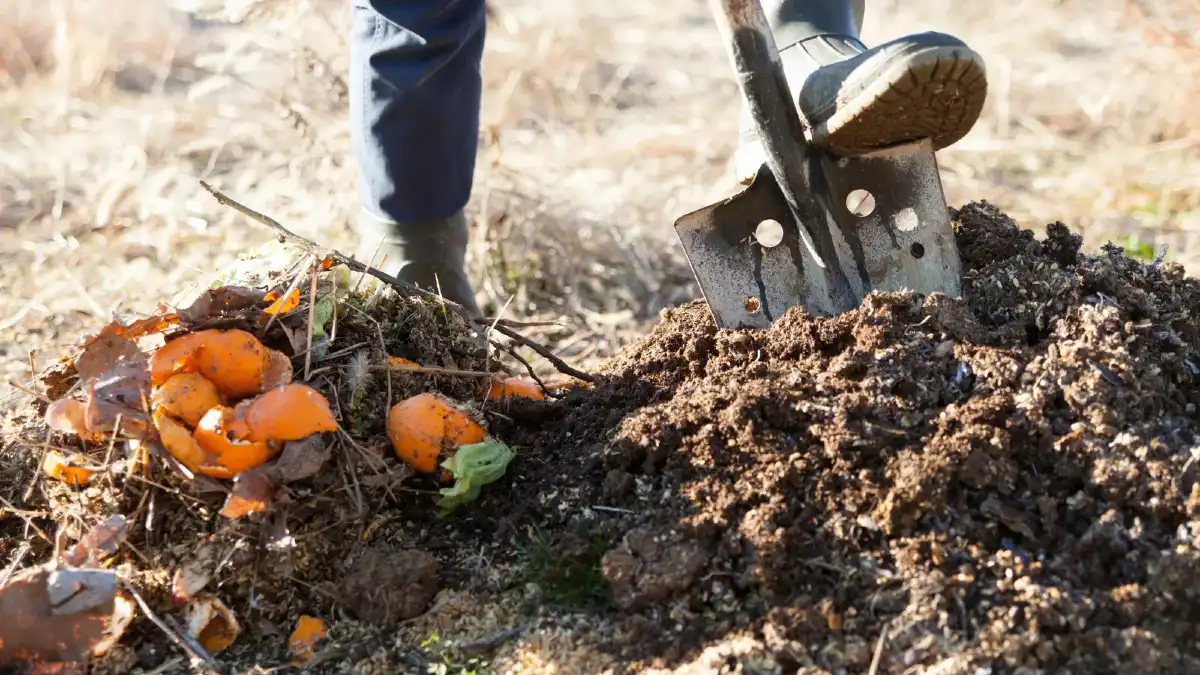 The 5 Minute Fix for Smelly Compost