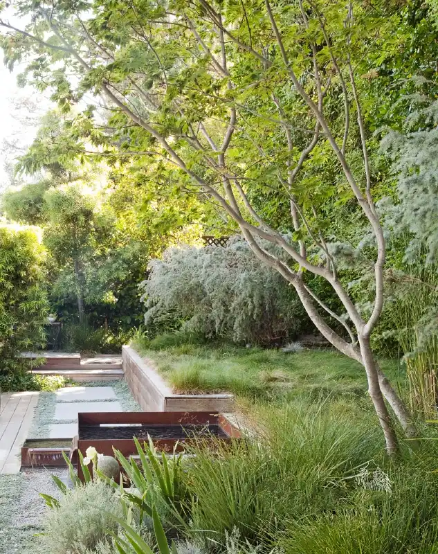 Terraced Ornamental Grasses
