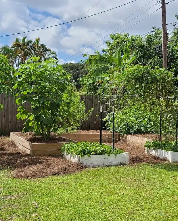 Tropical Privacy Orchard