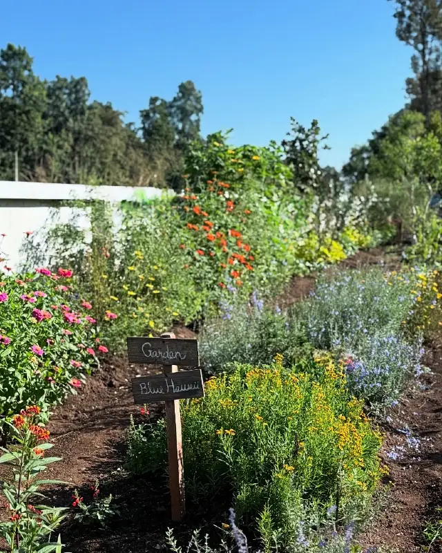 Floral Herb Border