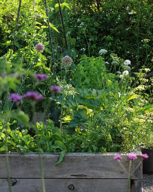 Mixed Edible Raised Bed
