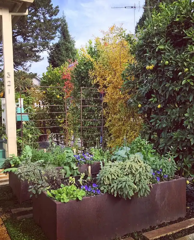 Metal Trough Edible Garden
