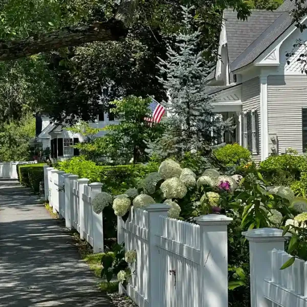 36 Edible Fence Ideas For Privacy And Fresh Produce