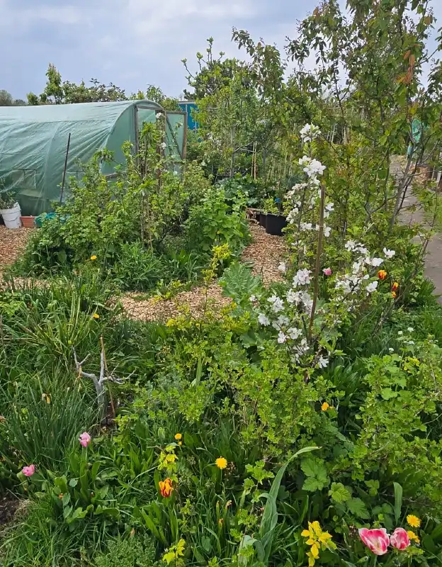 Layered Edible Polyculture