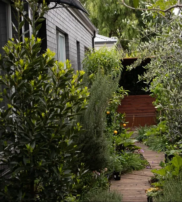 Narrow Side Yard Orchard