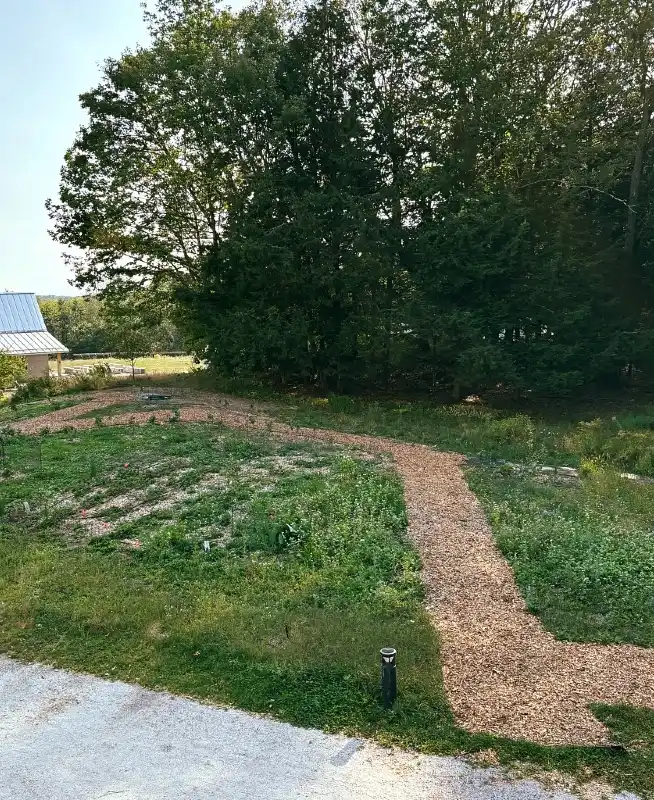 Meandering Mulch Pathways