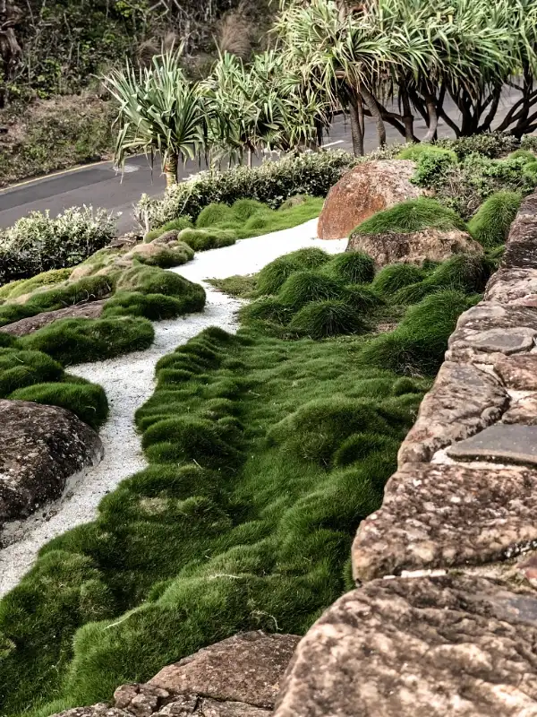 Mounded No Mow Grass Zen Garden