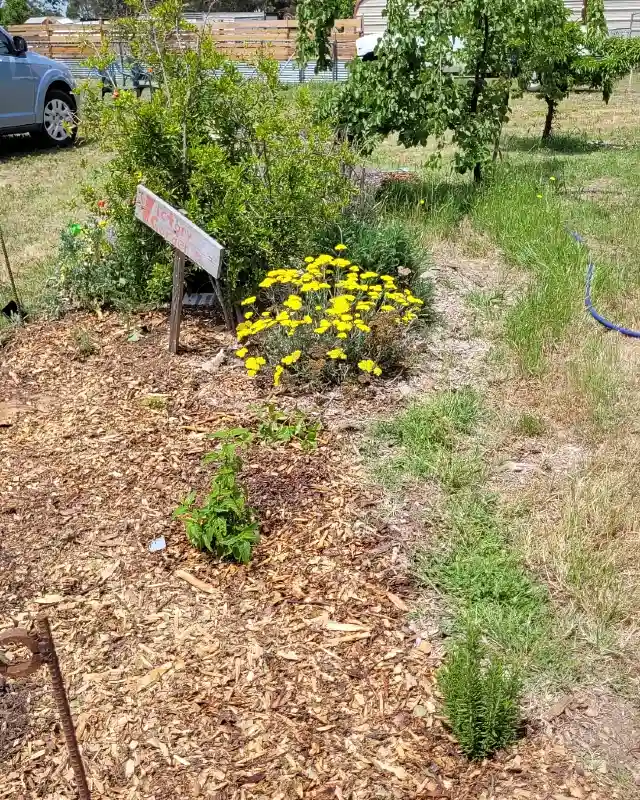 Signposted Victory Garden