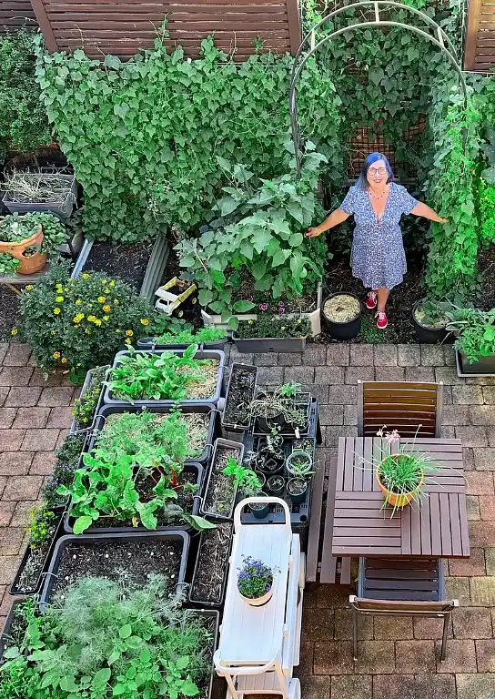 Container Courtyard Garden