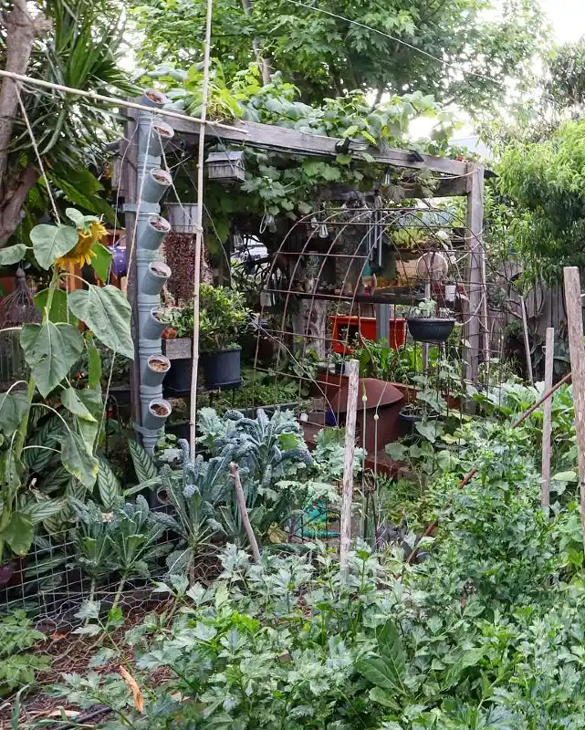 Vertical String Trellis System