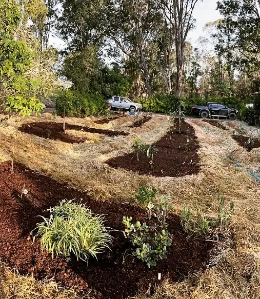 Backyard Swale System