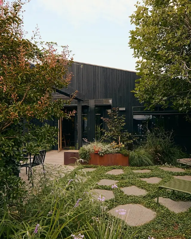 Modern Minimalist Patio Garden