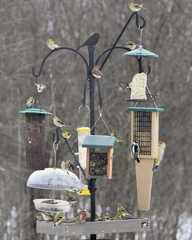 Multi Hook Feeding Station