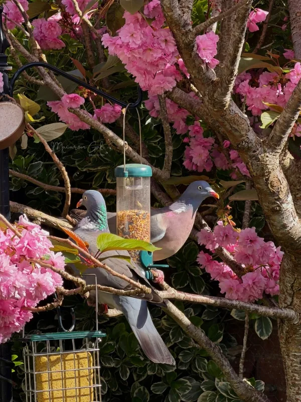 Tree Branch Hanging Hub
