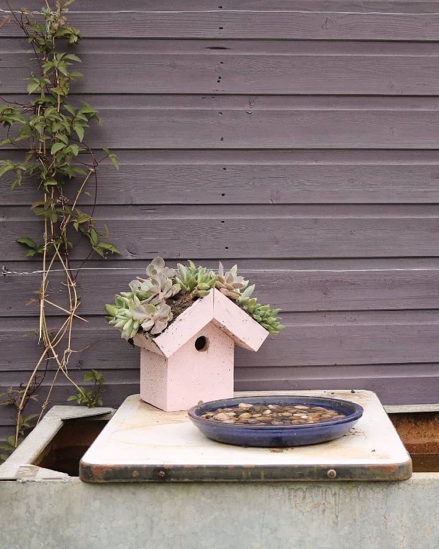 Succulent Birdhouse and Basin