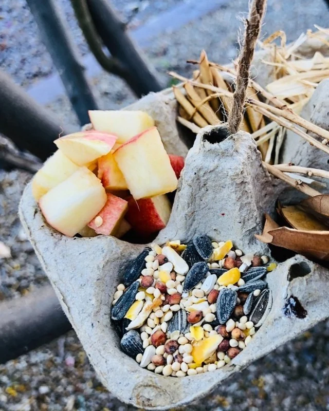 Egg Carton Buffet Tray