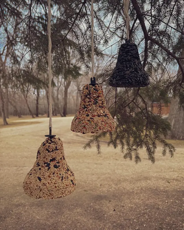 Hanging Seed Bells