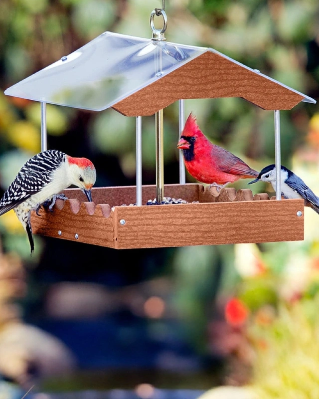 Covered Tray Feeder