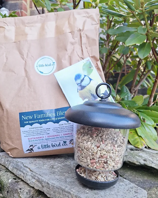Lantern Style Seed Dispenser