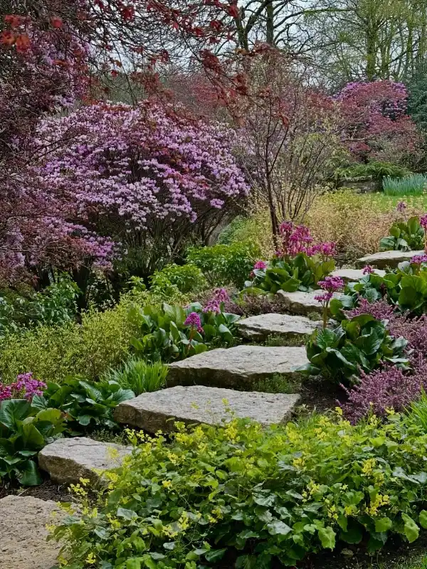 Flagstone Steppers with Lush Groundcovers