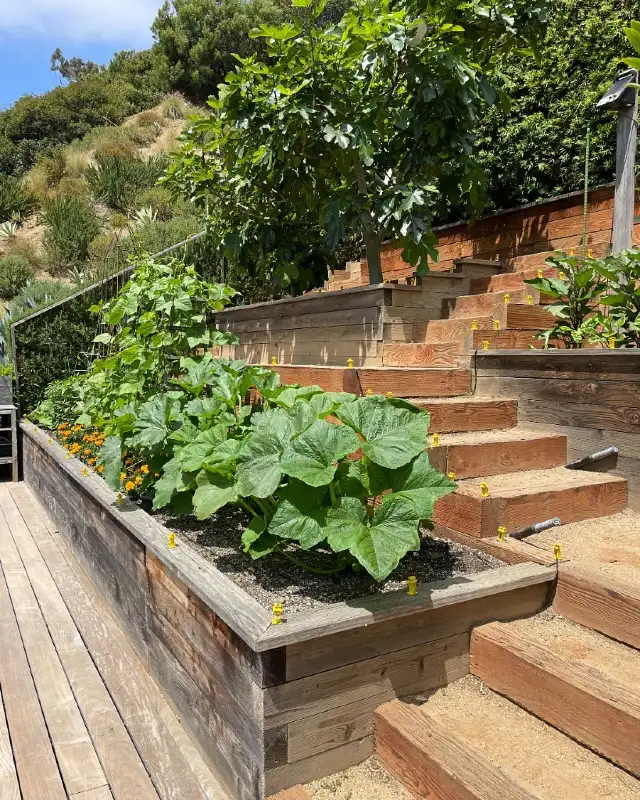 Steep Hillside Wooden Terraces