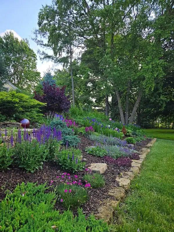 Rock Bordered Slope with Dark Mulch
