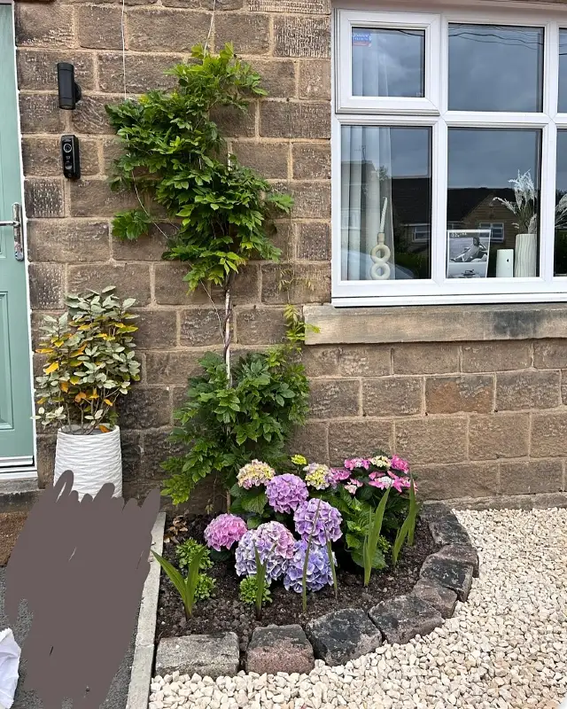 Brick-Bordered Hydrangea Bed